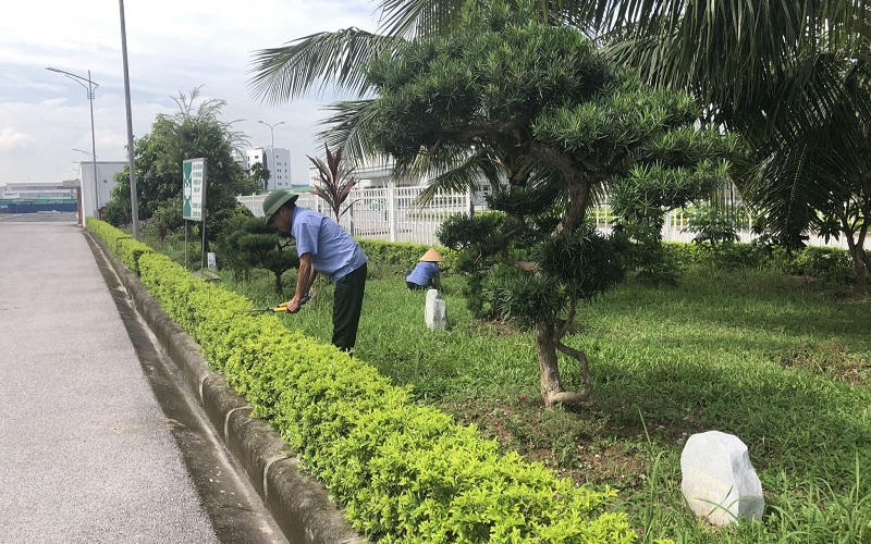 top-10-don-vi-cham-soc-cay-canh-uy-tin-tai-thanh-hoa